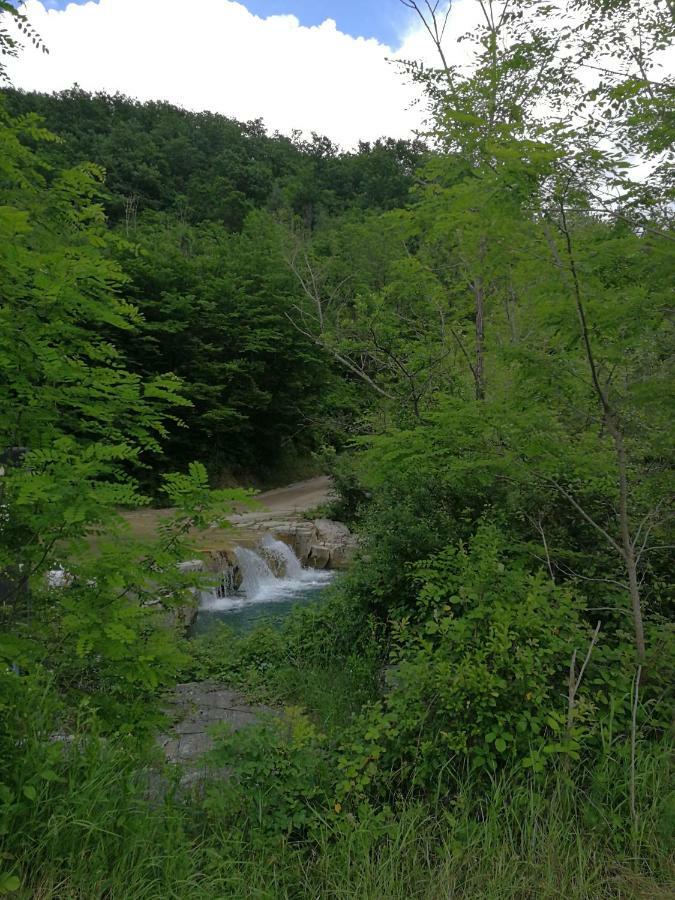 Eco Camp Supot Ξενοδοχείο Šmarje Εξωτερικό φωτογραφία