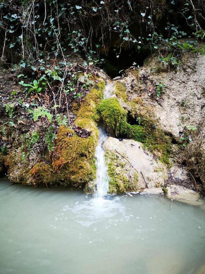 Eco Camp Supot Ξενοδοχείο Šmarje Εξωτερικό φωτογραφία